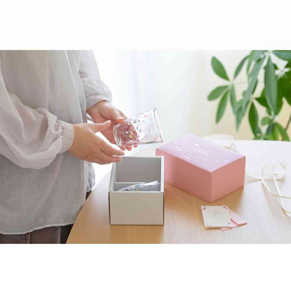 アデリア TEBINERI HARUIRO タンブラーペアセット 290ml×2個