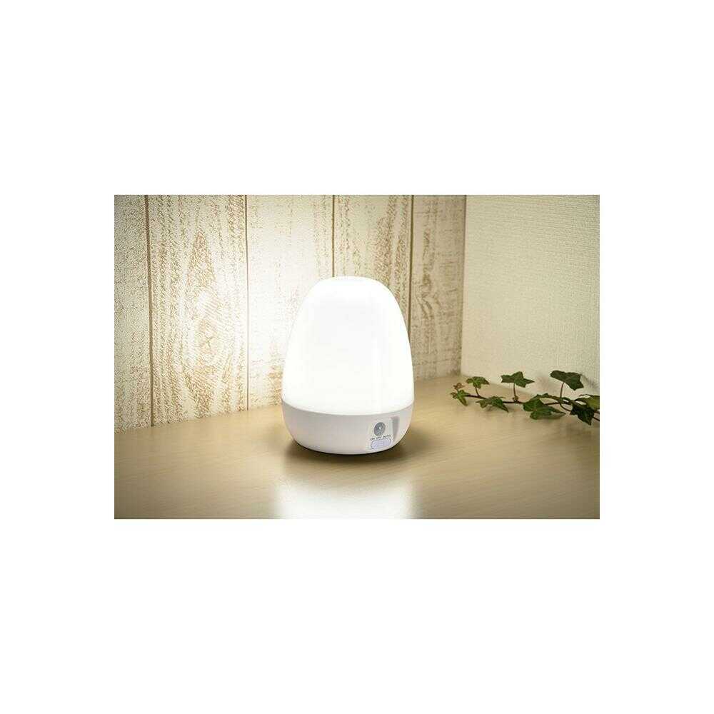 オーム電機 LEDナイトライト 明暗人感 屋内用 電池式 ホワイト