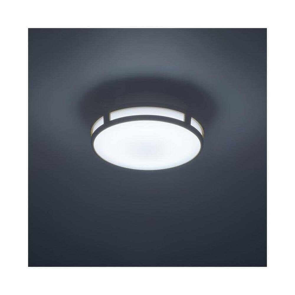 オーム電機 LEDミニシーリングライト 調光 60形 昼光色 ホワイト