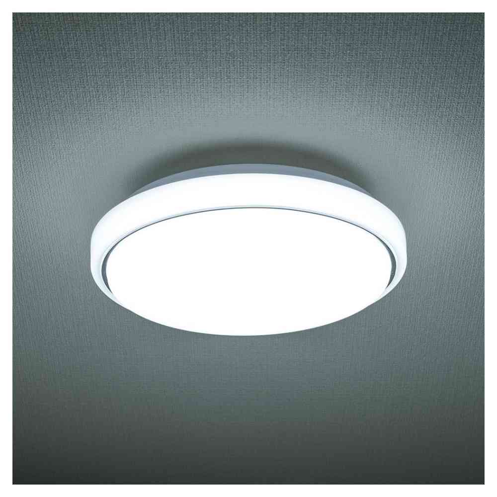 オーム電機 LED内玄関灯 昼光色 ホワイト