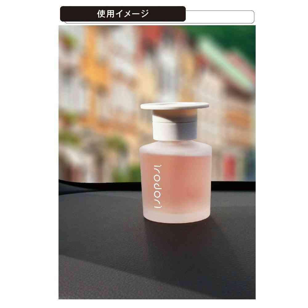 カーメイト イロドリリキッド チアフルペアー L2093