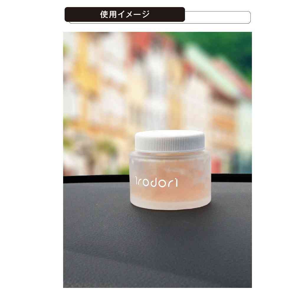 カーメイト イロドリゲル チアフルペアー G2043