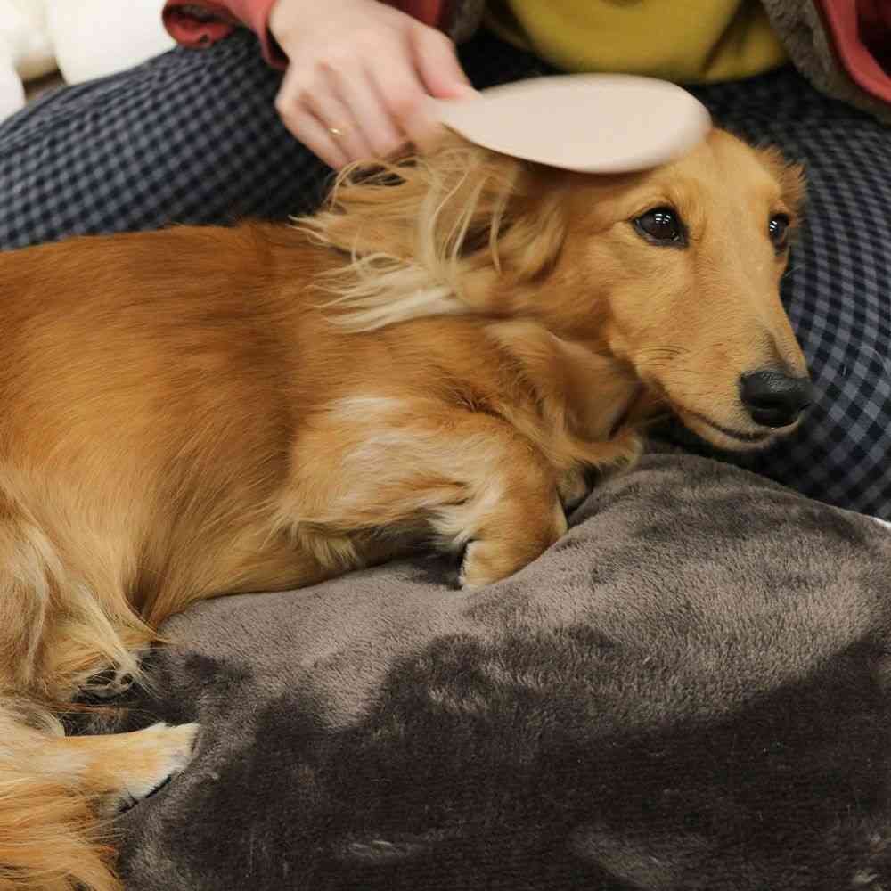 ドギーマン なでわんしゃもじ