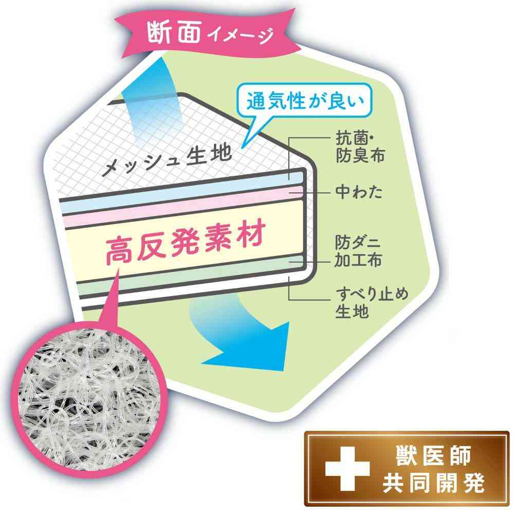 ペットにやさしい高反発ベッド S フルーツソーダ メーカー直送 ▼返品・キャンセル不可【他商品との同時購入不可】