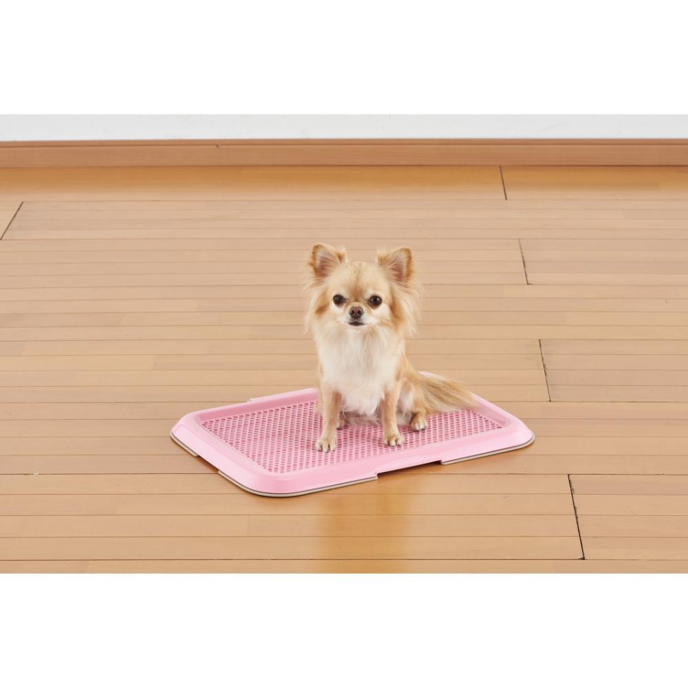 薄型しつけるトレーS ピンク メーカー直送▼返品・キャンセル不可【他商品との同時購入不可】