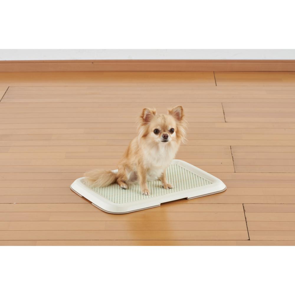 薄型しつけるトレーS アイボリー メーカー直送▼返品・キャンセル不可【他商品との同時購入不可】