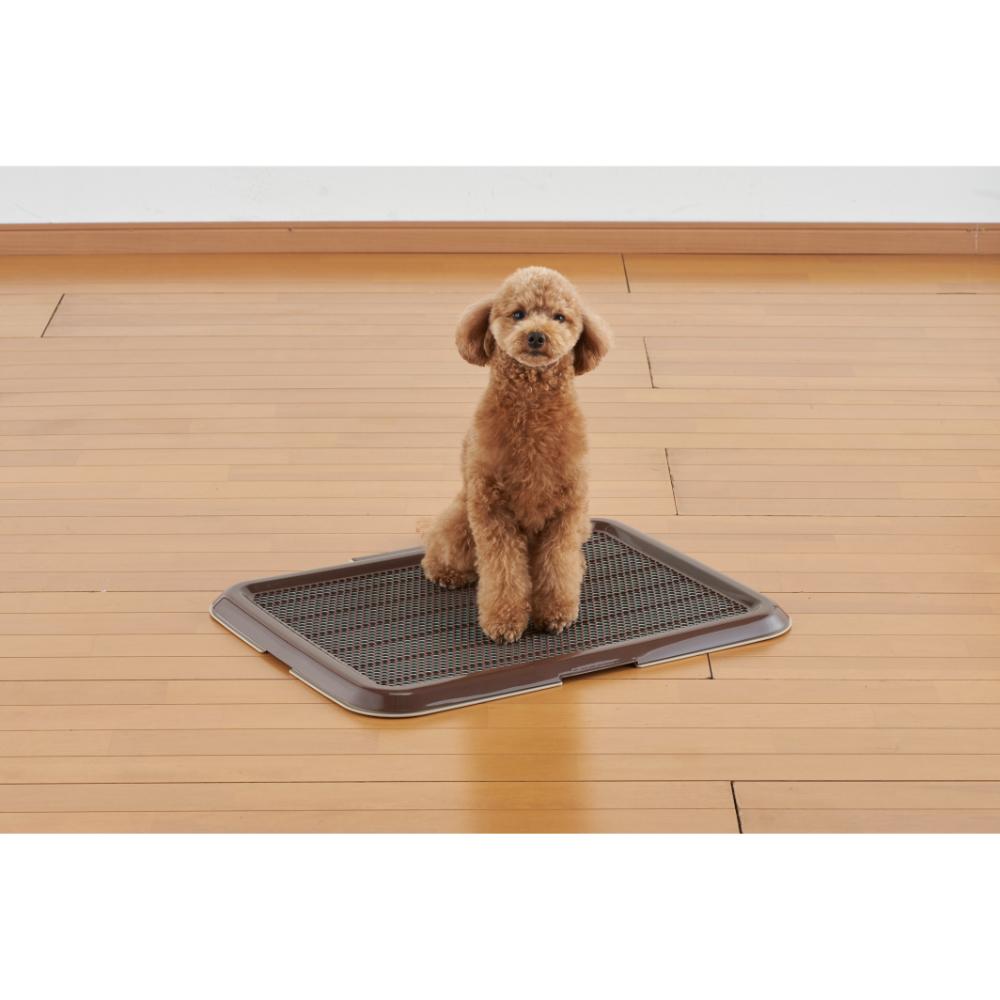 薄型しつけるトレーM ブウラン メーカー直送▼返品・キャンセル不可【他商品との同時購入不可】