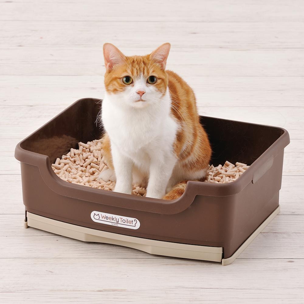 ウィークリートイレ しつける3点セット ブラウン メーカー直送▼返品・キャンセル不可【他商品との同時購入不可】