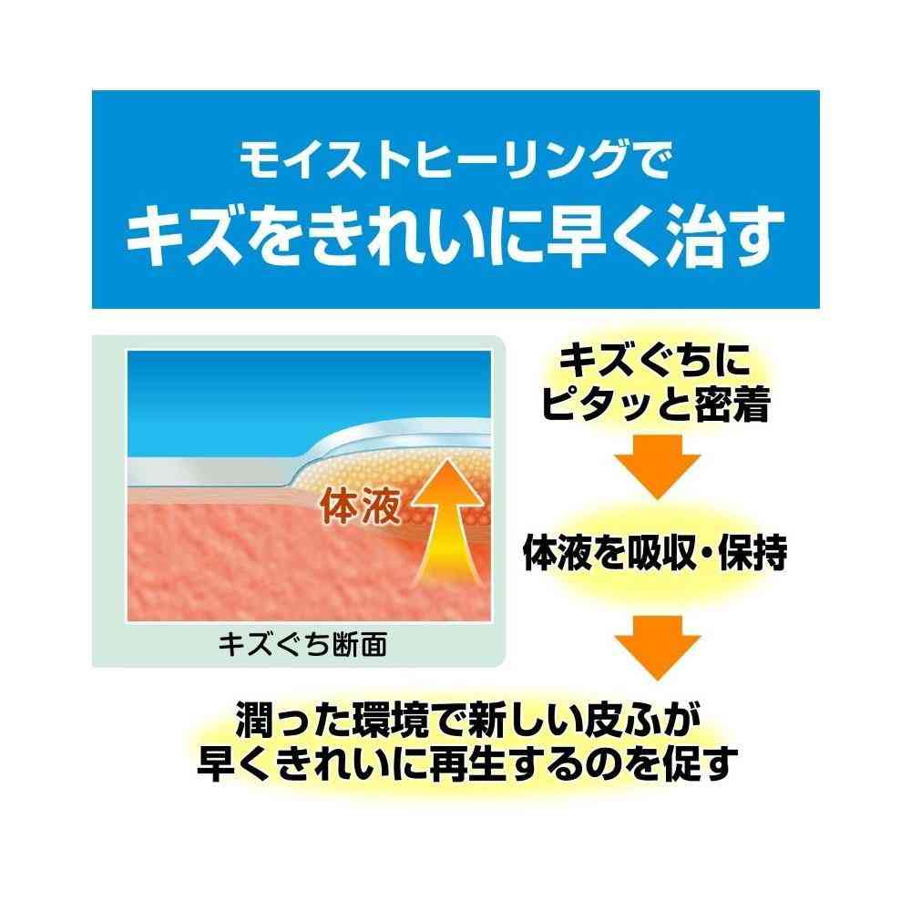 【管理医療機器】ニチバン ケアリーヴ 治す力 防水タイプ CNB9L Lサイズ 9枚