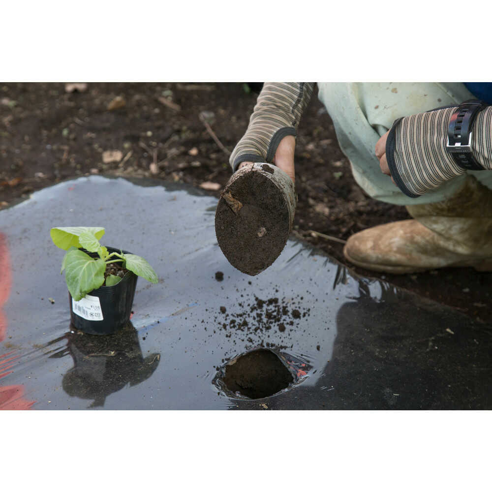 36000 浅野木工所 マルチゴテ メーカー直送 ▼返品・キャンセル不可【他商品との同時購入不可】