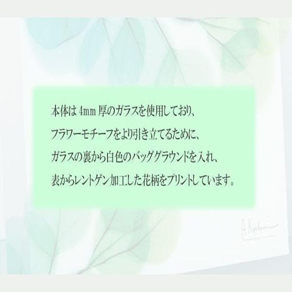 X RAY ガラス アート チューリップ イマジン Mサイズ 【直送品】 返品・キャンセル・他商品と同時購入は不可