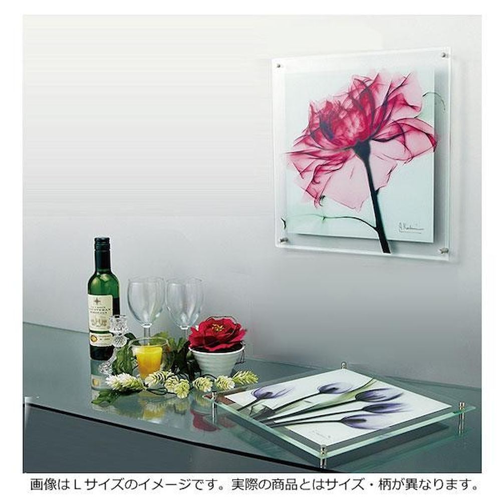 X RAY ガラス アート チューリップ Mサイズ 【直送品】 返品・キャンセル・他商品と同時購入は不可