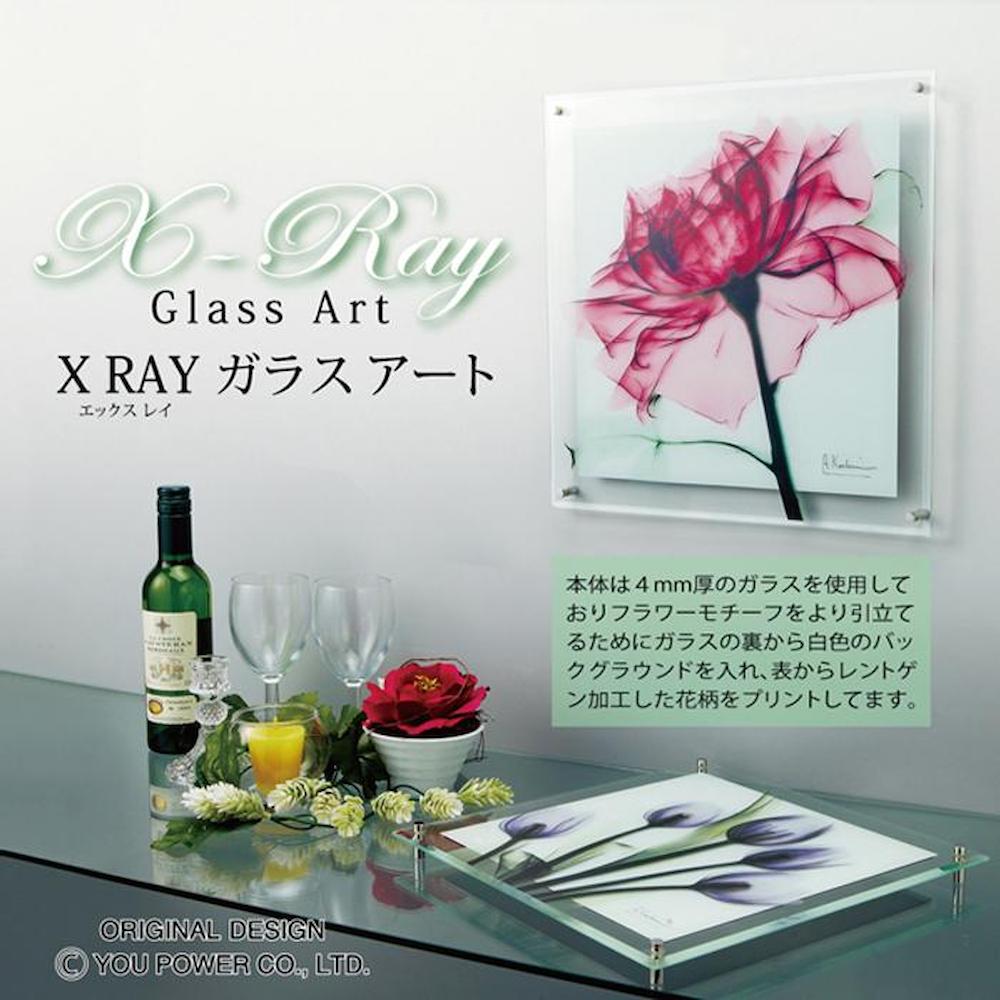 X RAY ガラス アート M 「ブルーライトチューリップ」 【直送品】 返品・キャンセル・他商品と同時購入は不可