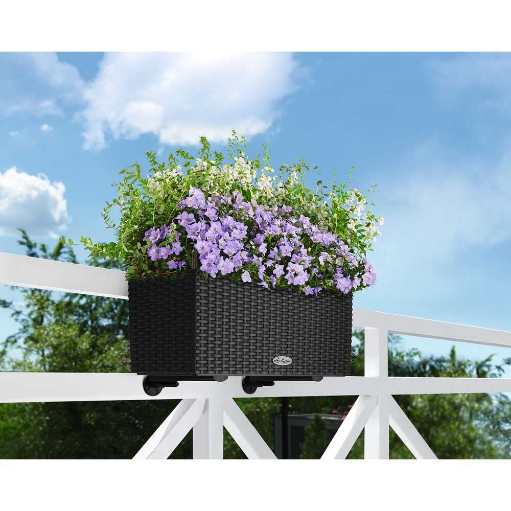 Lechuza フェンス取付用フック ブラック 2個入り メーカー直送 ▼返品・キャンセル不可【他商品との同時購入不可】