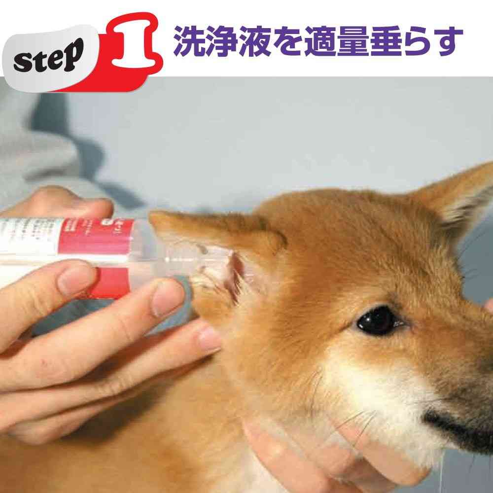 トーラス耳クサ・イヤー