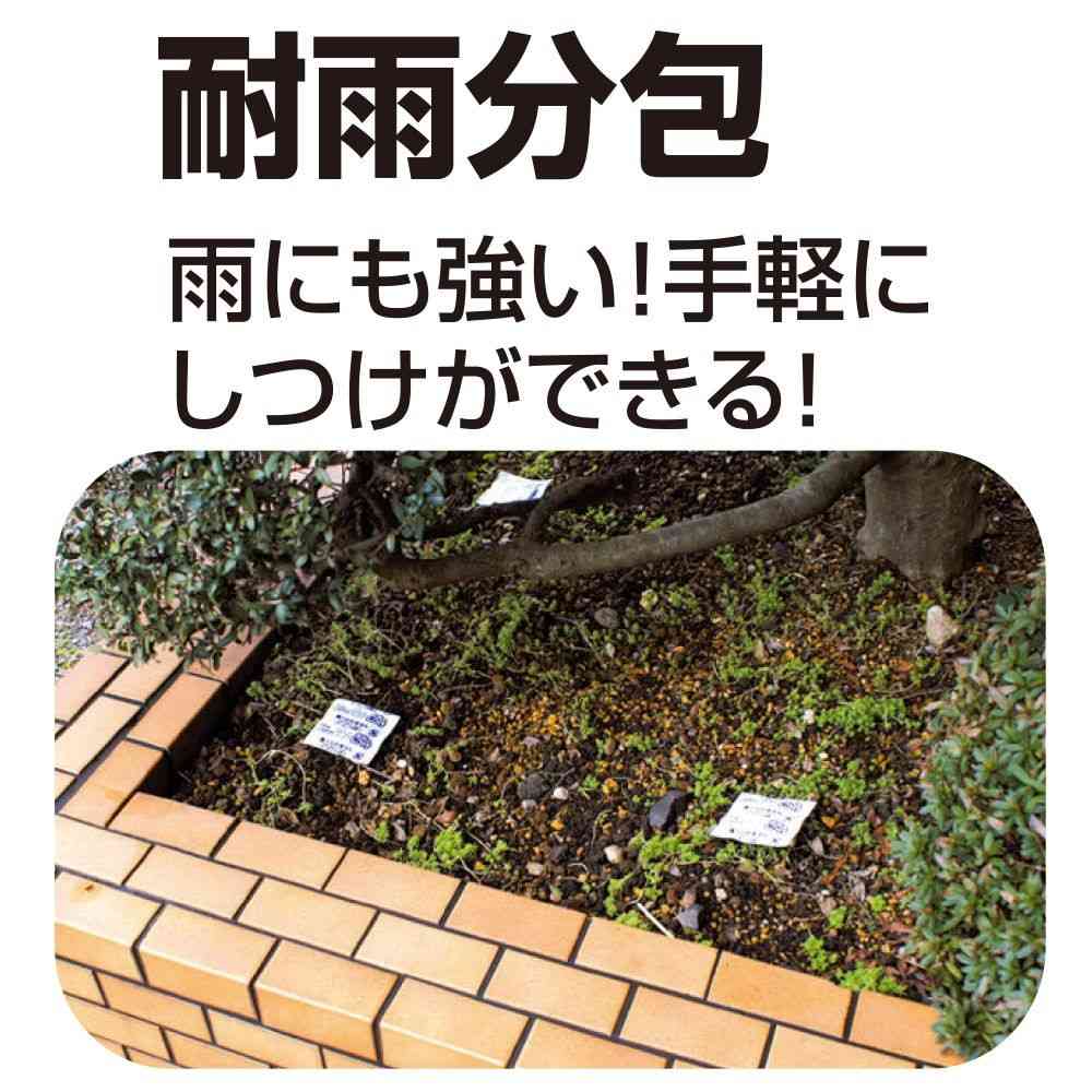 トーラスお外のしつけ 耐雨分包