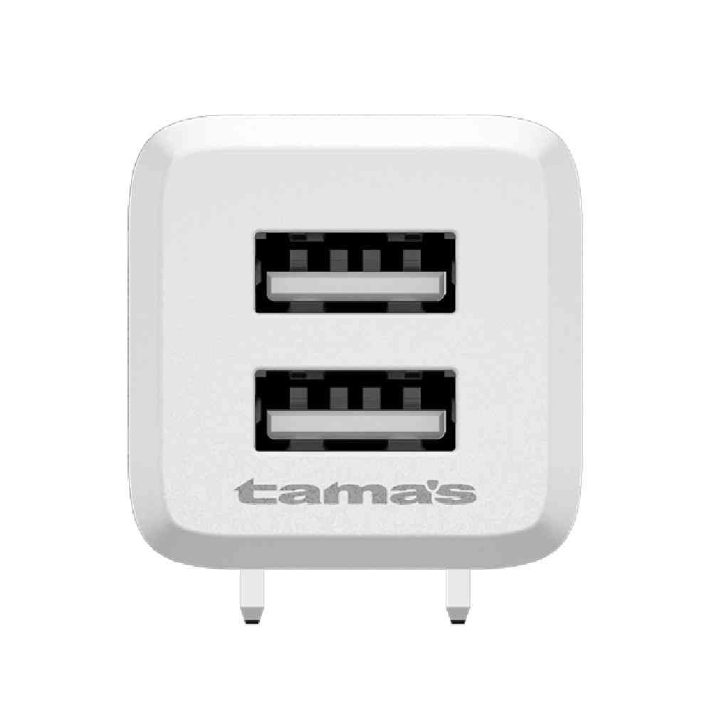 多摩電子工業 コンセントチャージャー 2.4A Type-C用 AA155U2C10W ホワイト