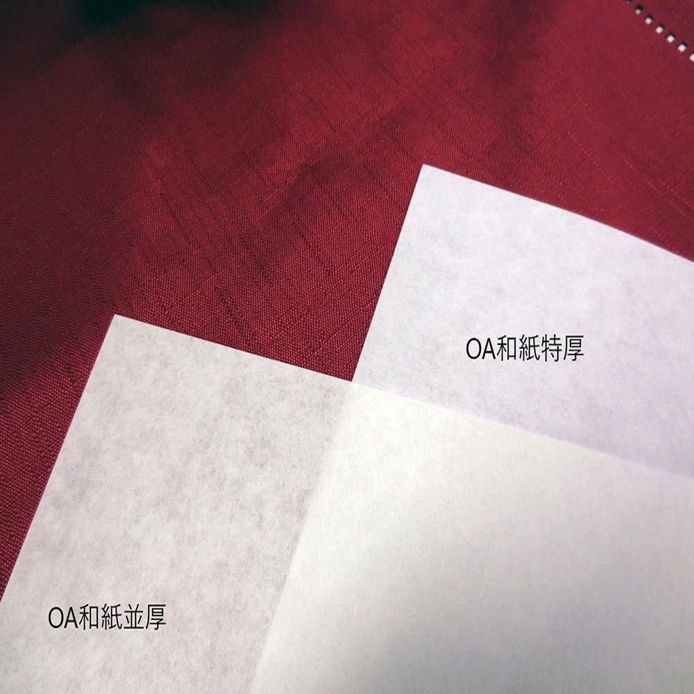 OA和紙並厚 白 A3判 WP-5831200-10P メーカー直送 ▼返品・キャンセル不可【他商品との同時購入不可】