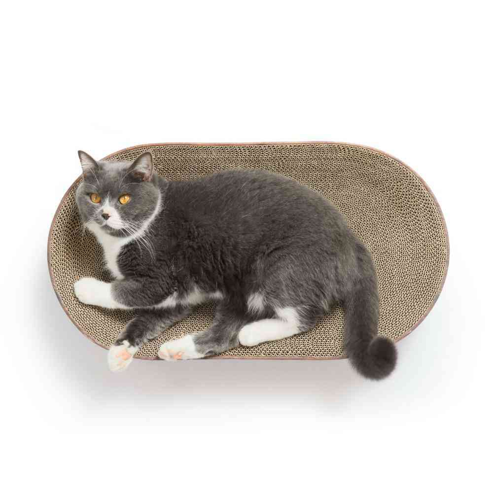 バリバリボウルXL オーバル ダークブラウン メーカー直送▼返品・キャンセル不可【他商品との同時購入不可】