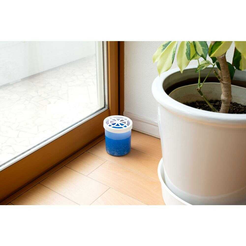 アース製薬 アースガーデン アリよけ撃滅 ゲルタイプ