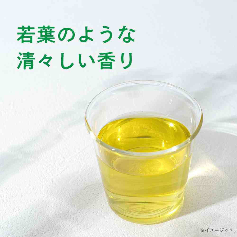 【限定お値下げ中】OiTea (オイティー) 2袋 お〜いお茶 伊藤園 おーいお茶 ピュアグリーン 2L ペットボトル 6本入