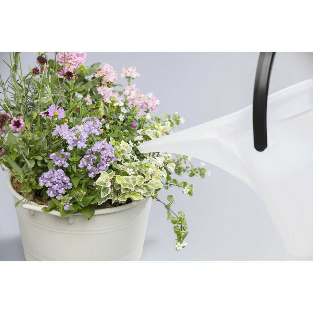 大和プラ販 バケツ・エンジョイ クリア 3型 クリア