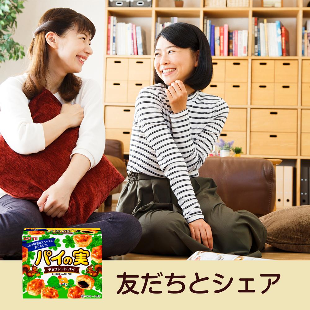 ◆ロッテ パイの実 73g【10個セット】