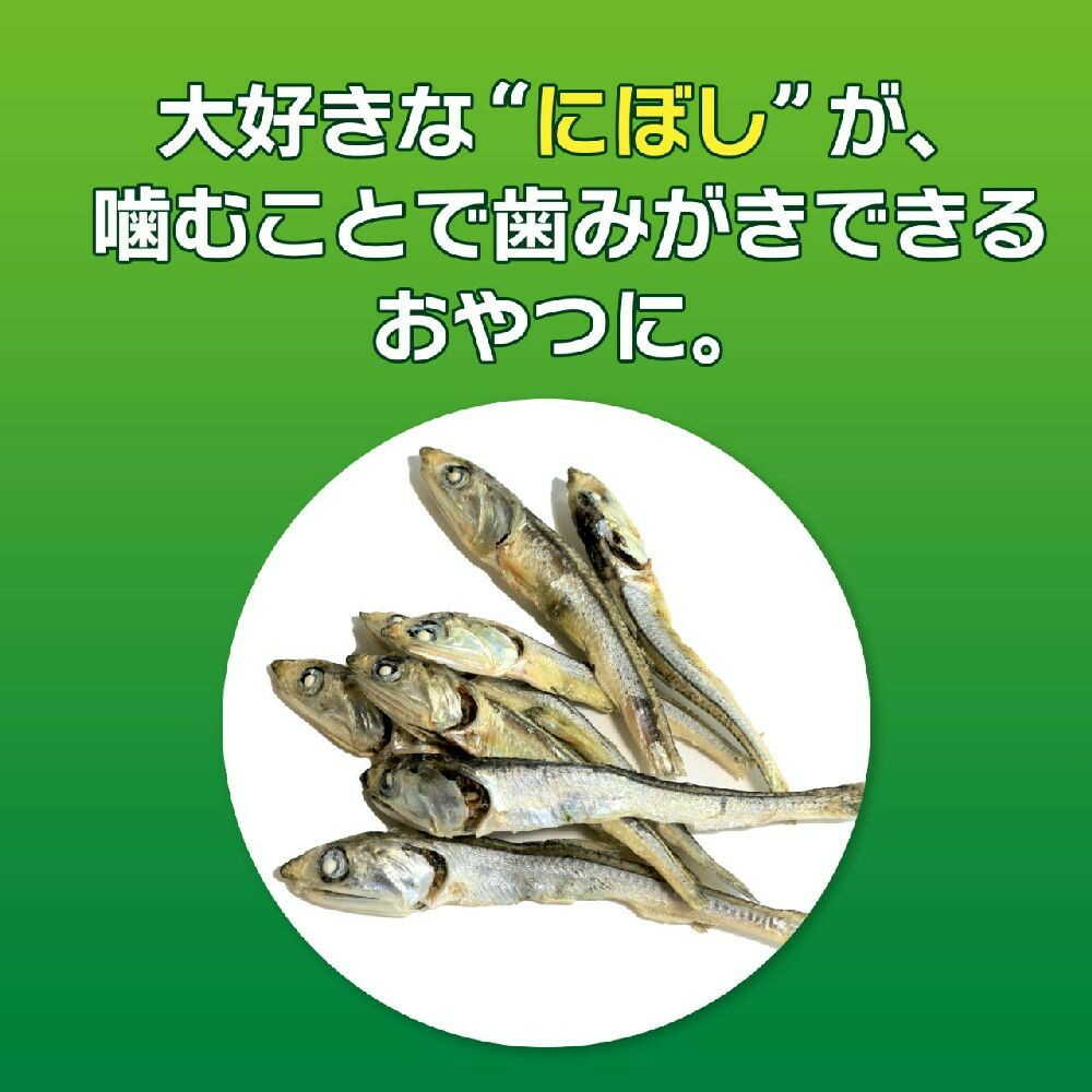 PETKISS 猫ちゃんの歯みがきおやつ にぼし 12G