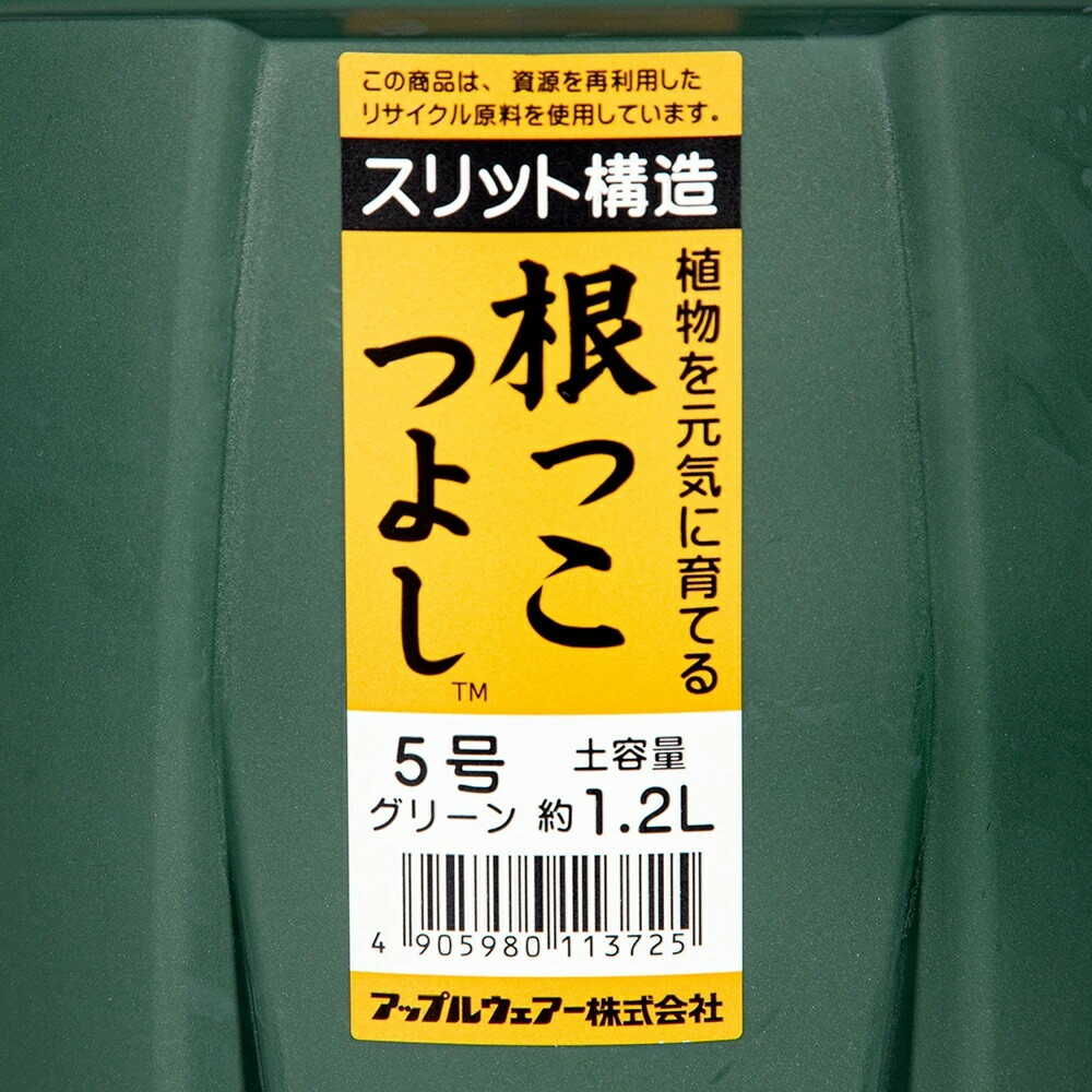 アップルウェアー 根っこつよし 5号 グリーン グリーン
