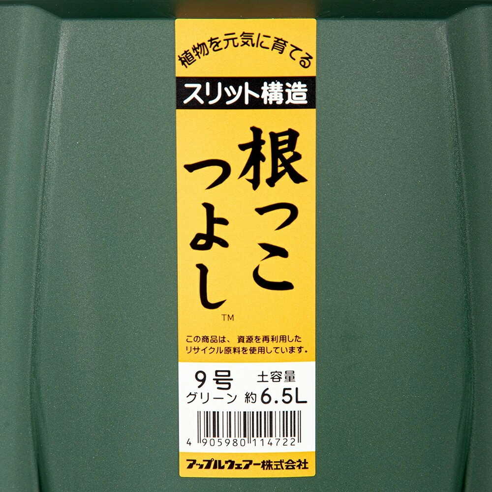 アップルウェアー 根っこつよし 9号 グリーン グリーン