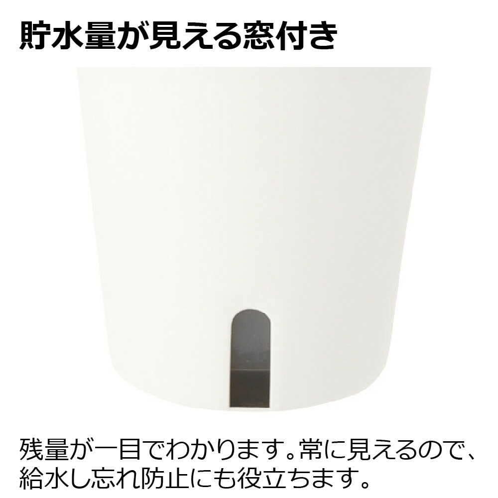 リッチェル ミエルノPlus ポット ホワイト ホワイト