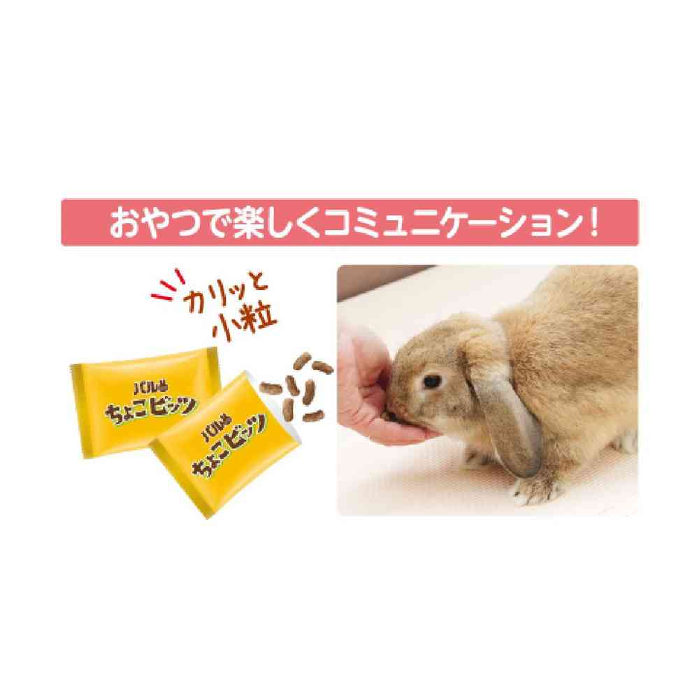 日本ペットフード パルワン ちょこビッツ バナナ味