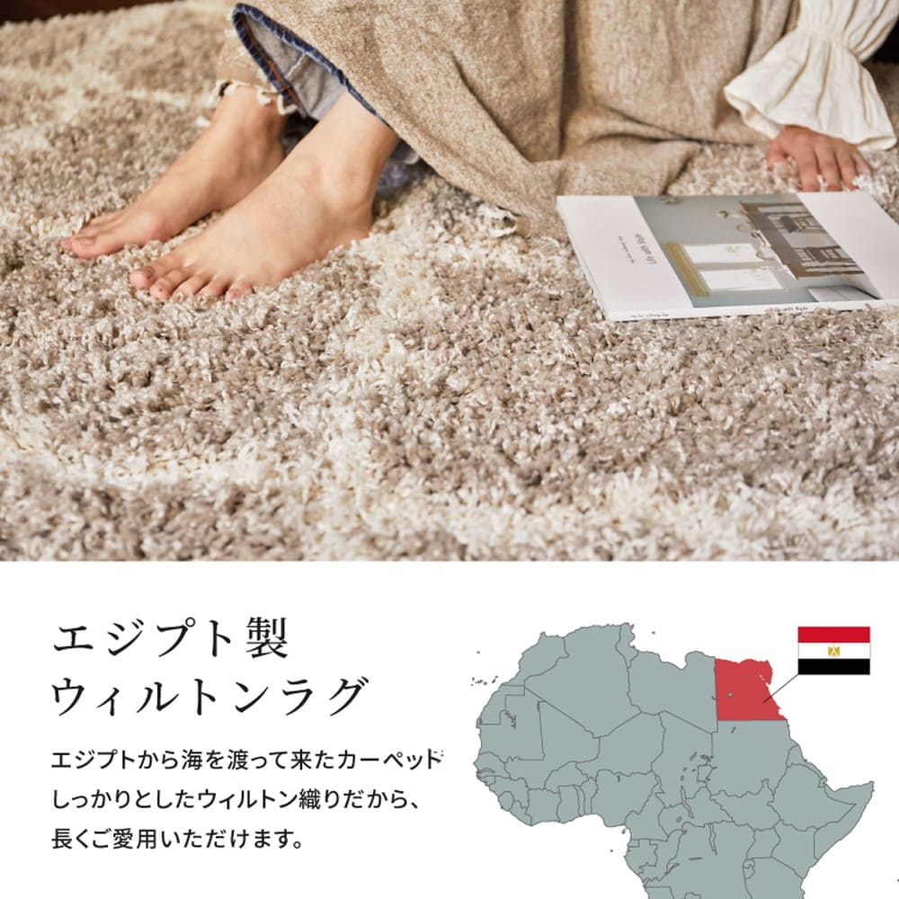 ベニワレン柄のウィルトン織シャギーラグ ラリス GY200×250 メーカー直送 ▼返品・キャンセル不可【他商品との同時購入不可