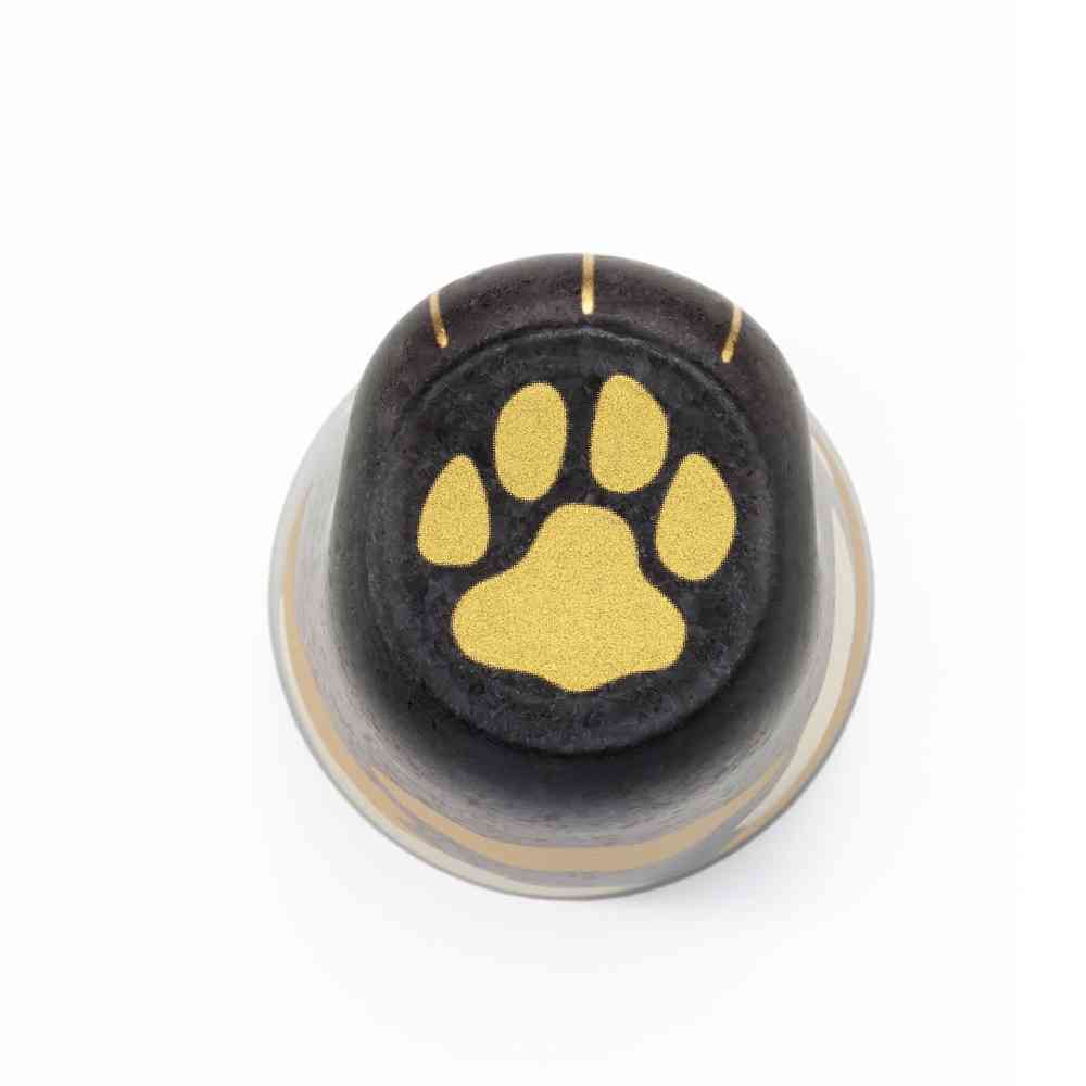 アデリア coconeco グラス プレミアム トラ