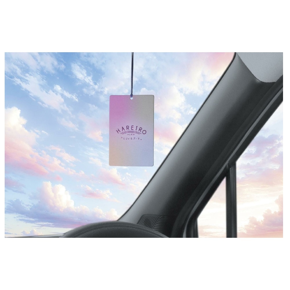 カーメイト ハレイロ ハンギング にじいろブーケ H1912 内容量 :約30g ※1枚あたり約10g