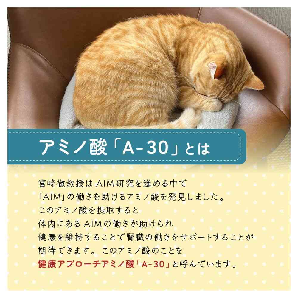 マルカン AIM30 室内避妊・去勢後成猫用 健康な尿路・毛玉ケア フィッシュ 1.2kg