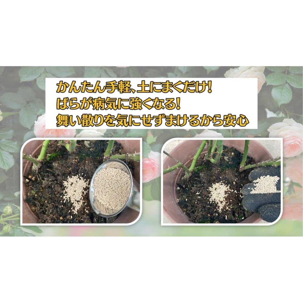 (農)住友化学園芸 マイローズ ベニカBT殺菌粒剤 500g