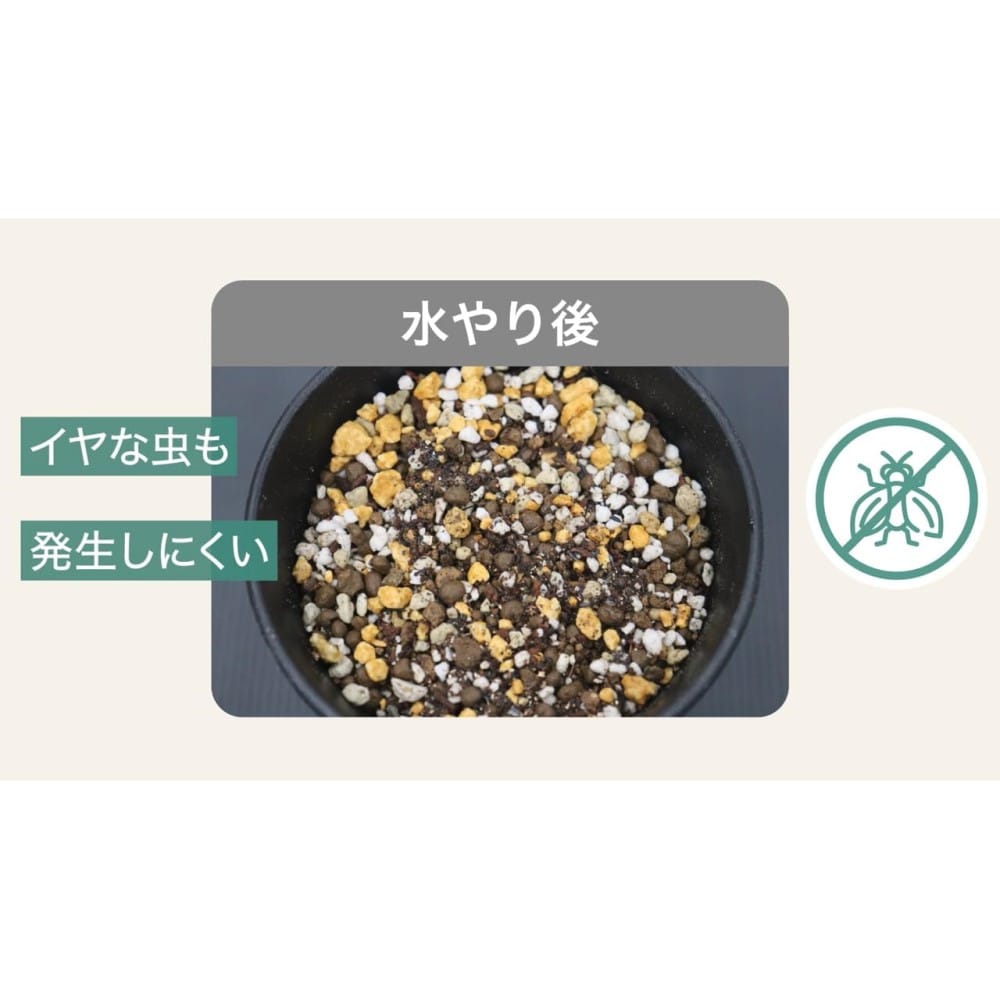 住友化学園芸 マイプランツ 健やかに育てるソイル観葉用 5L