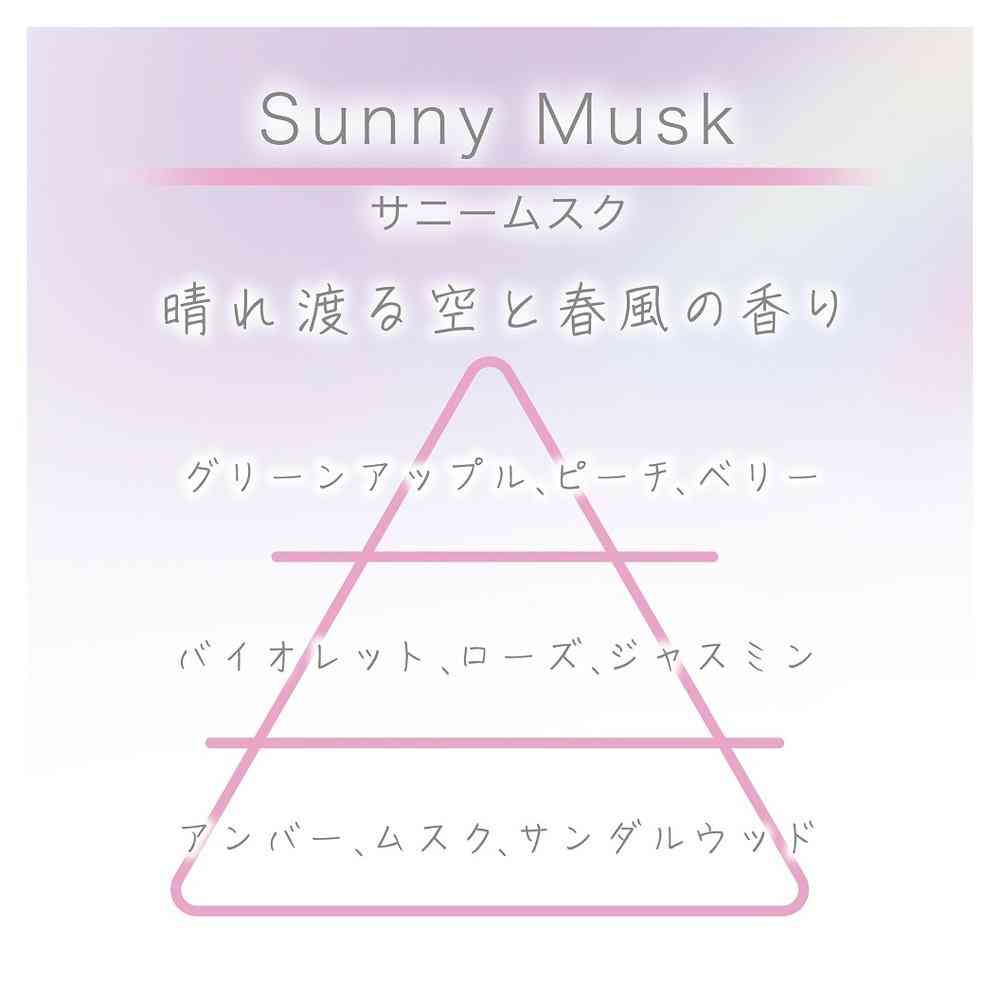 晴香堂 ハレノカクリップ 詰替用 サニームスク 3713