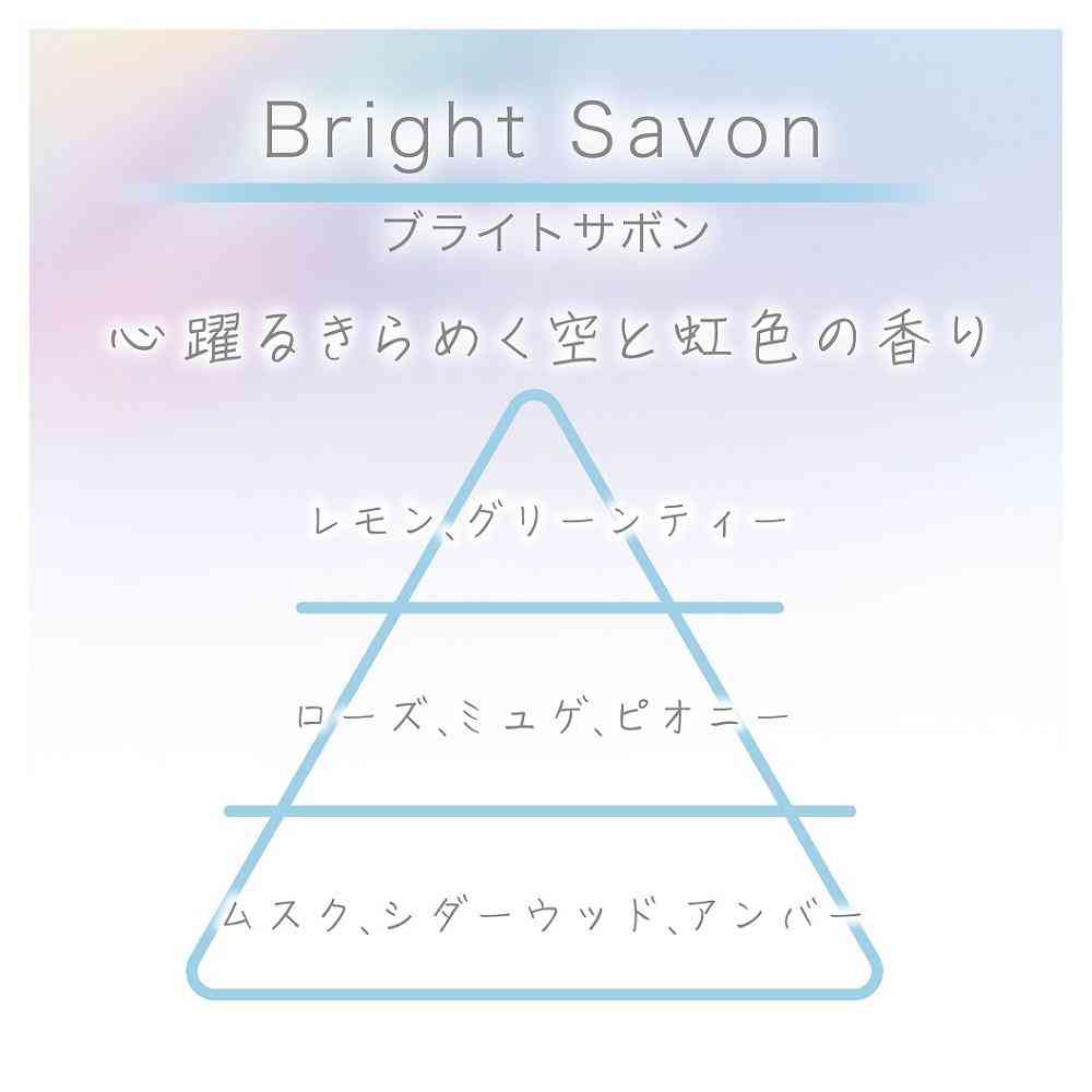 晴香堂 ハレノカクリップ 詰替用 ブライトサボン 3714