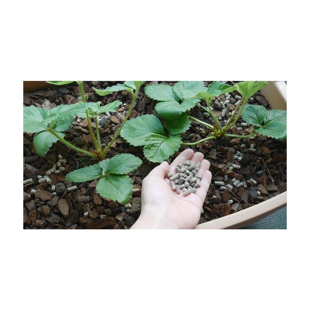 花ごころ 甘いイチゴをつくる肥料 2kg