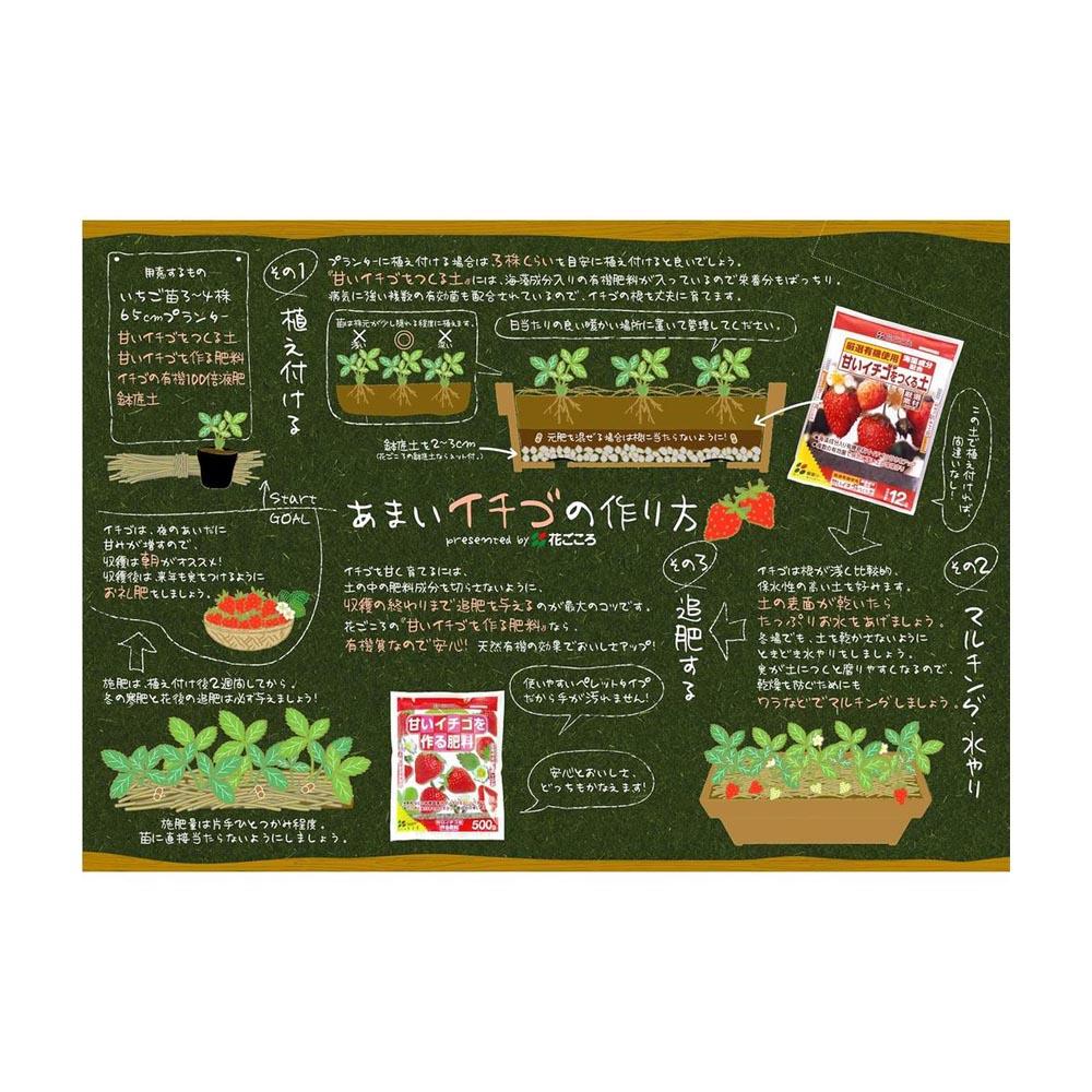 花ごころ 甘いイチゴをつくる土 12L