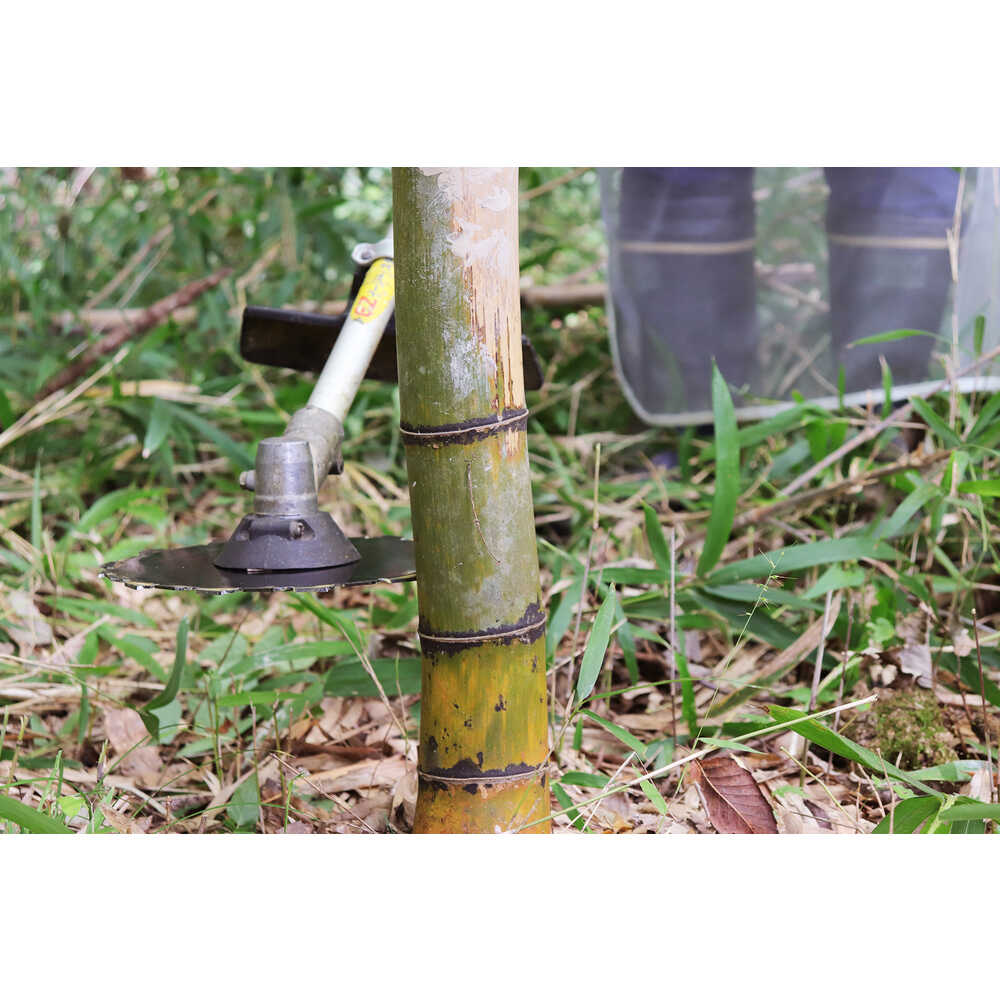 0341 三陽金属 無双クリアソー 26T×250mm メーカー直送 ▼返品・キャンセル不可【他商品との同時購入不可】