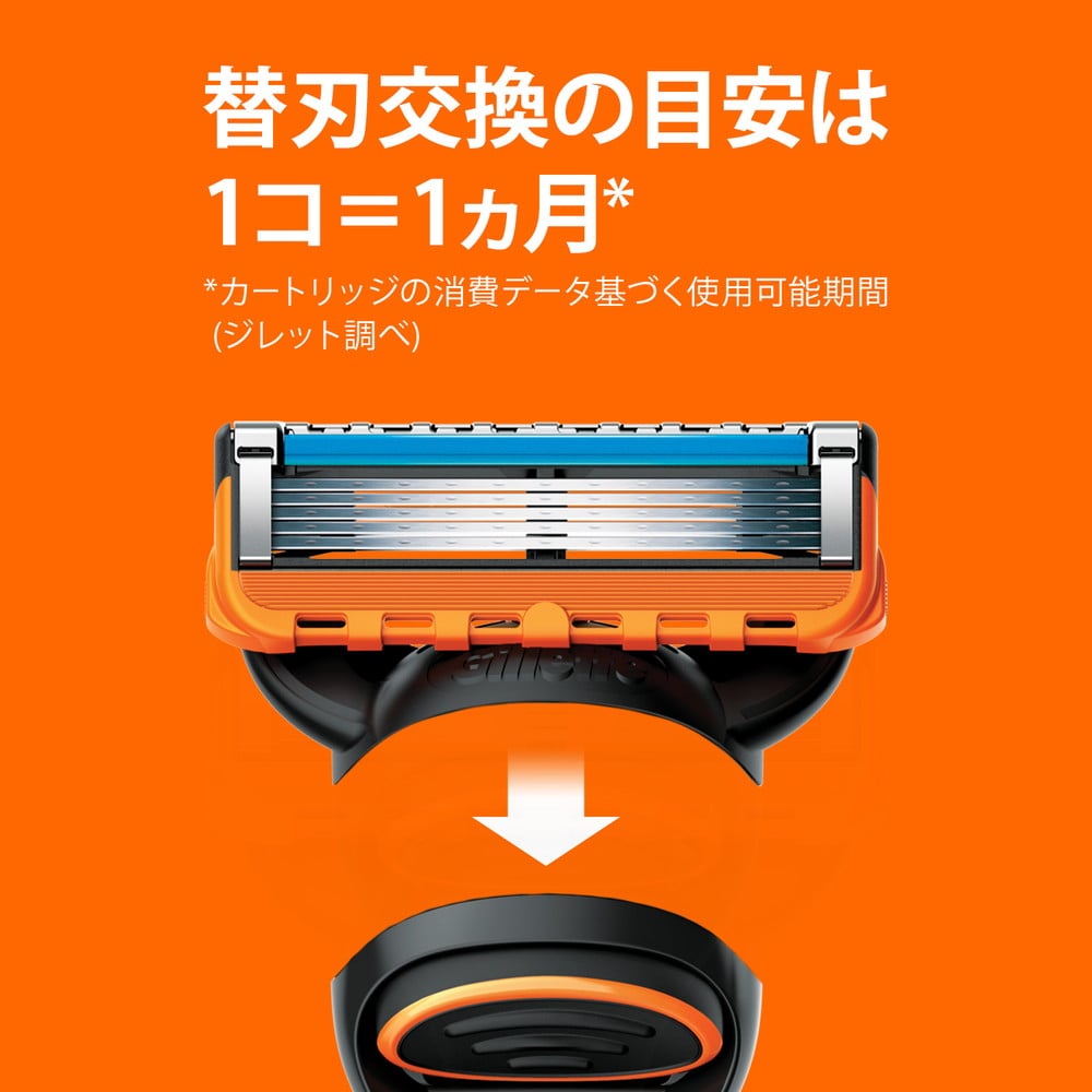 P&G ジレット フュージョンパワーホルダー 替刃2個付