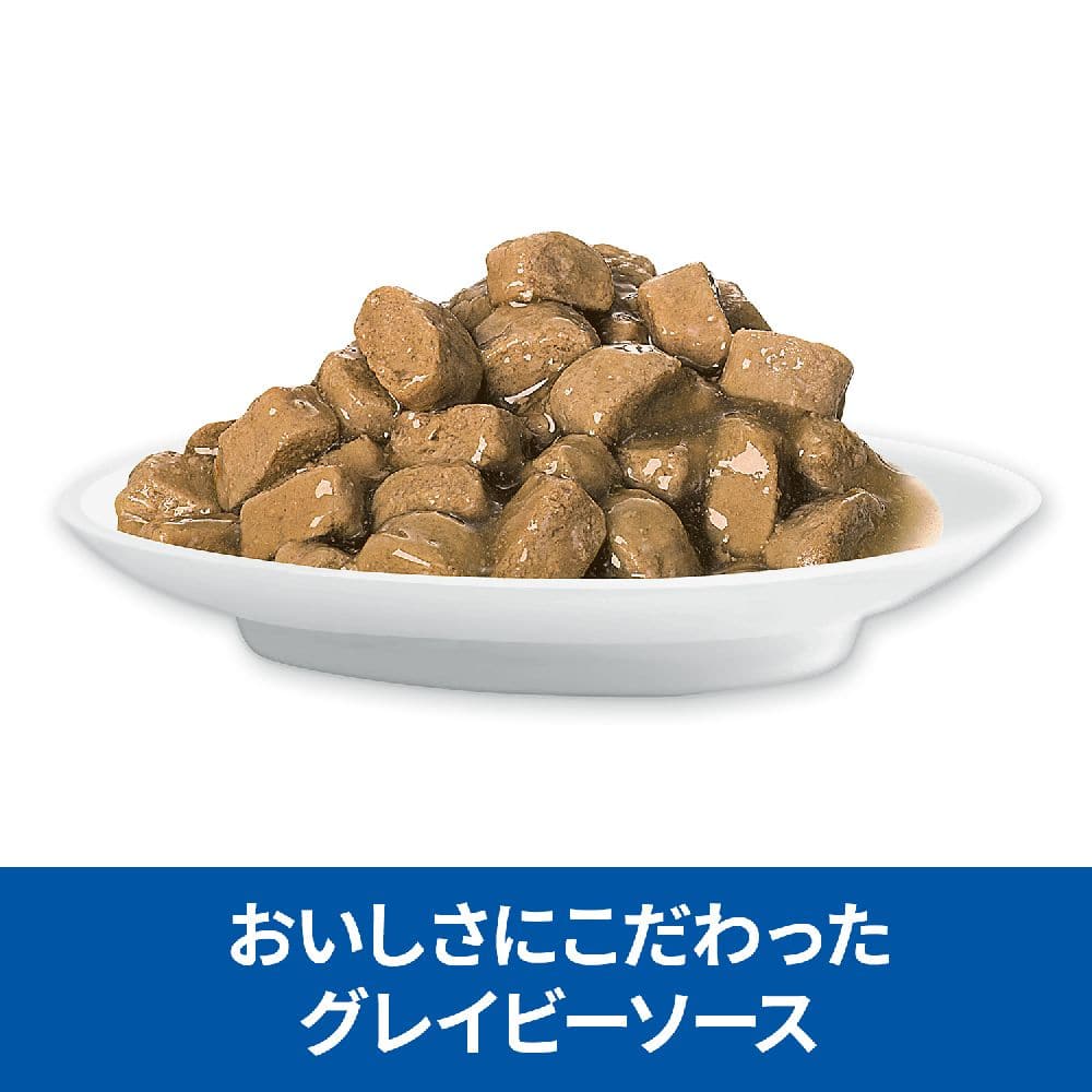 ヒルズ サイエンスダイエット 猫用パウチ腸の健康チキン 85g