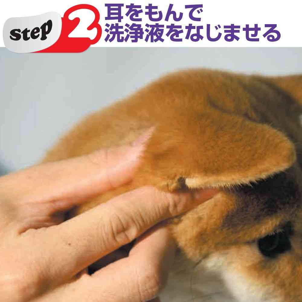 トーラス耳クサ・イヤー