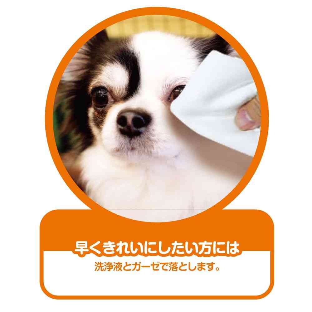 トーラス涙やけ・イヤー