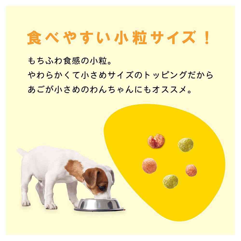日本ペットフード コンボ ドッグ もっちりふっくら 15歳以上540g