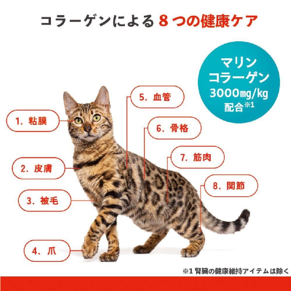 ビューティプロ猫下部尿路低脂肪チキン 1.4kg