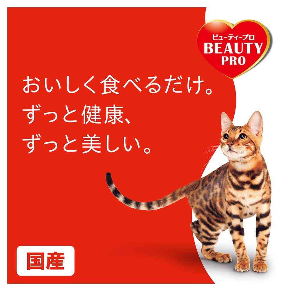 日本ペットフード ビューティープロ キャット Wケア 腸内環境・自然免疫ケア 1.2kg(240gx5)